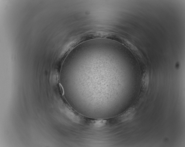 X0000112810474200908281511