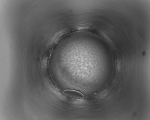 X0000112810475200908281511
