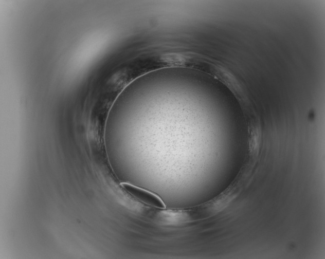 X0000112810477200908281511