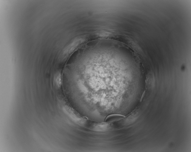 X0000112810479200908281511