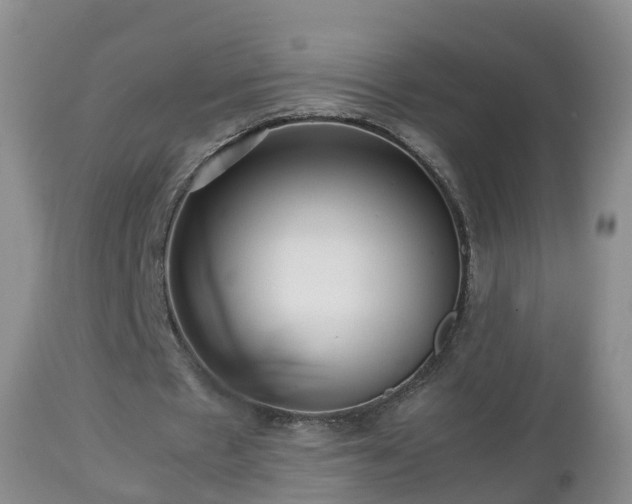 X0000112810481200908281510