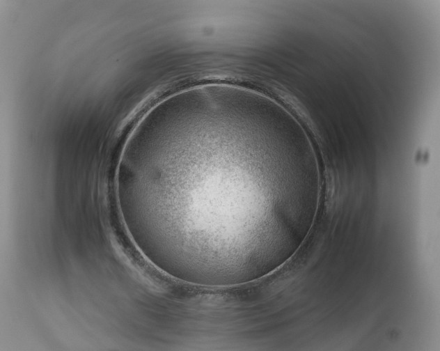 X0000112810482200908281510