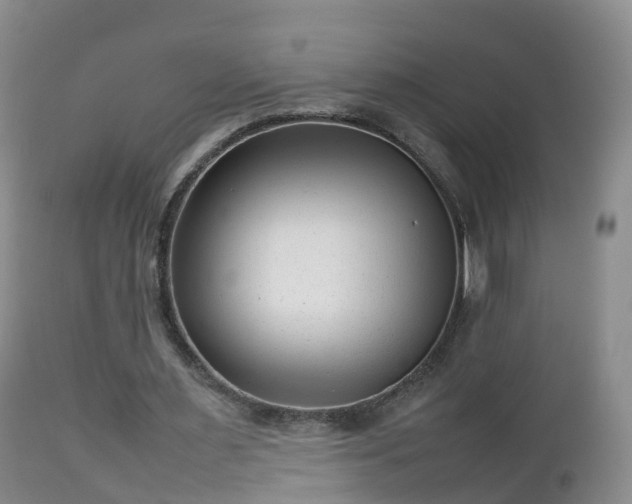 X0000112810483200908281510