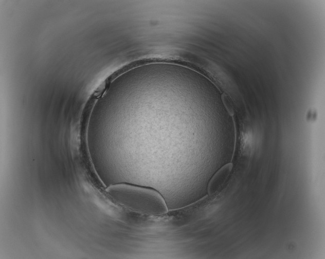 X0000112810484200908281510