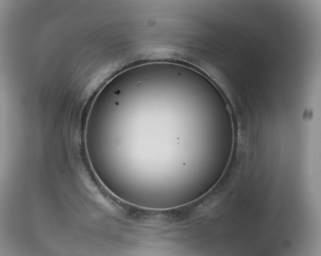 X0000112810485200908281510