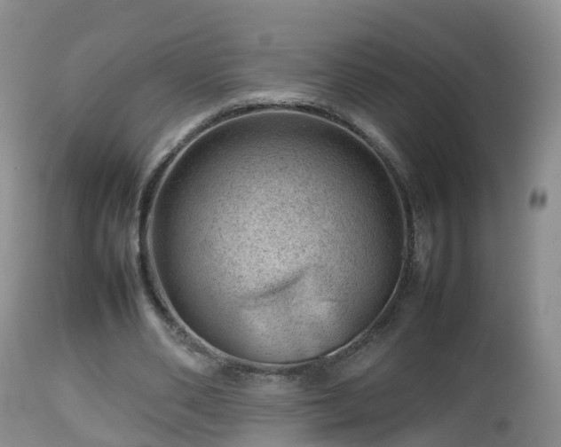 X0000112810486200908281510