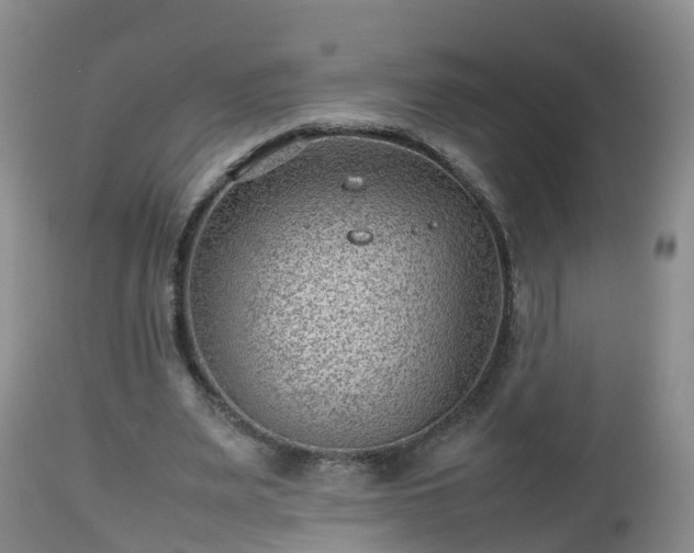 X0000112810487200908281510
