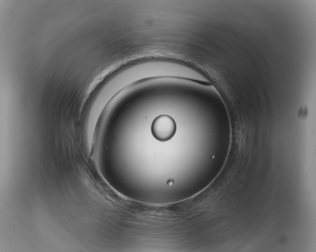 X0000112810488200908281510