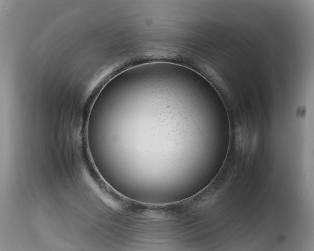 X0000112810490200908281510
