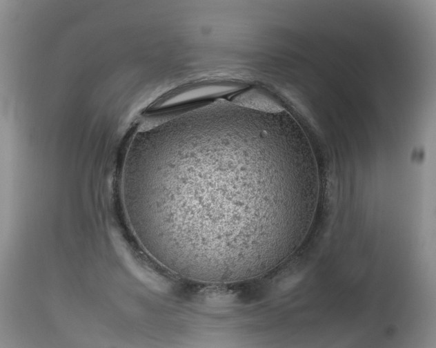 X0000112810491200908281510