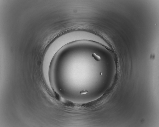 X0000112810493200908281510