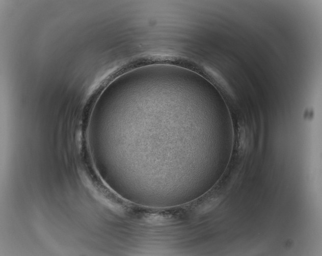 X0000112810494200908281510