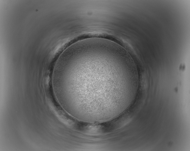 X0000112810495200908281510