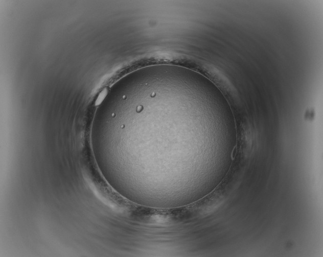 X0000112810496200908281510