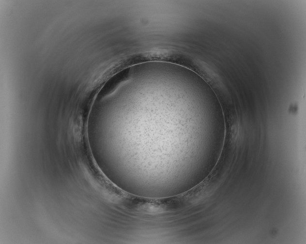 X0000112810498200908281510
