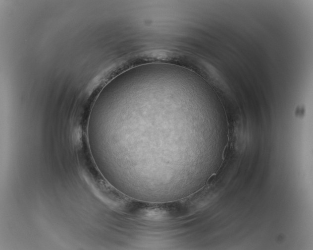 X0000112810500200908281510