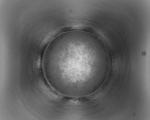 X0000112810502200908281510