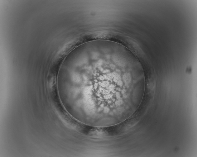 X0000112810503200908281510