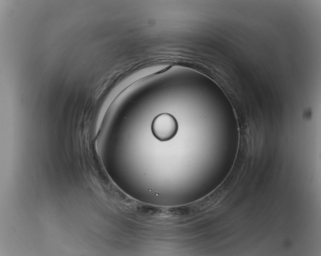X0000112810504200908281510