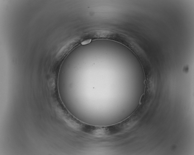 X0000112810505200908281510