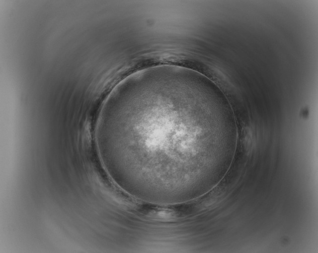 X0000112810506200908281510
