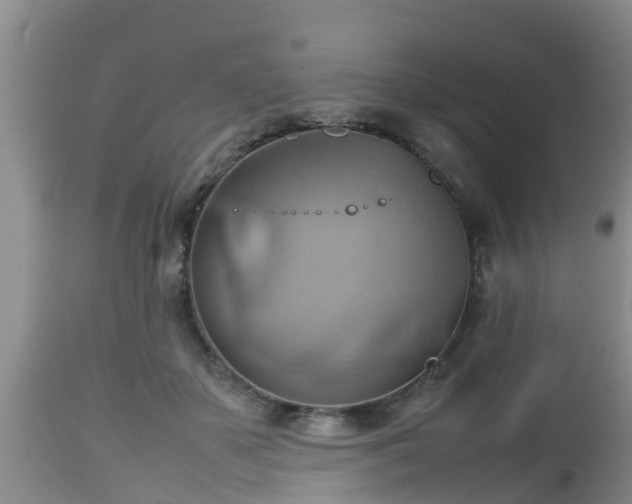 X0000112810507200908281510