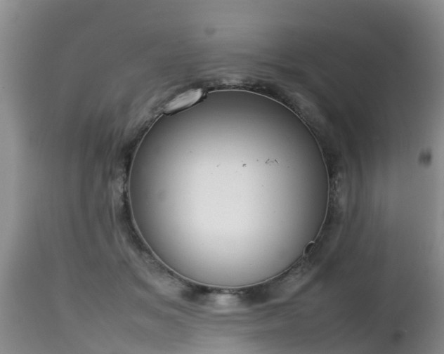 X0000112810509200908281510