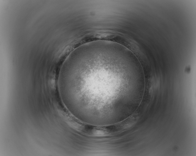 X0000112810510200908281510