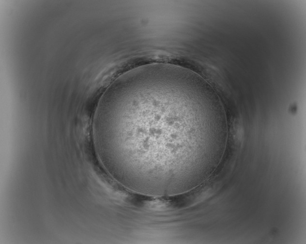 X0000112810511200908281510