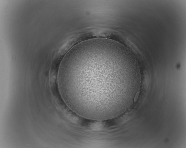 X0000112810513200908281510