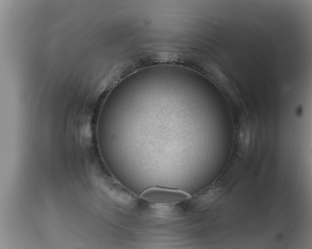 X0000112810516200908281510