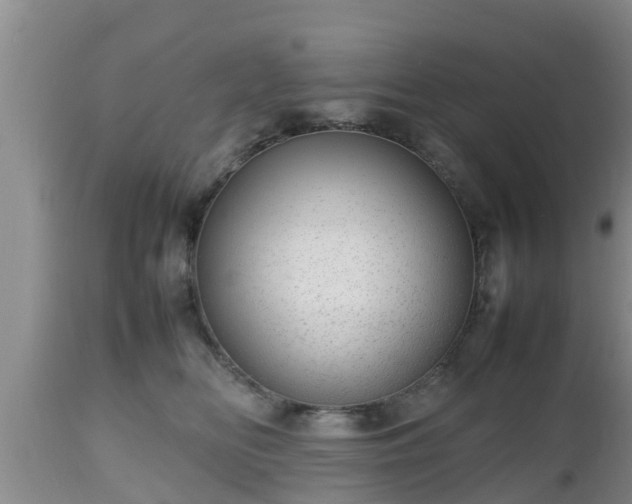 X0000112810518200908281510