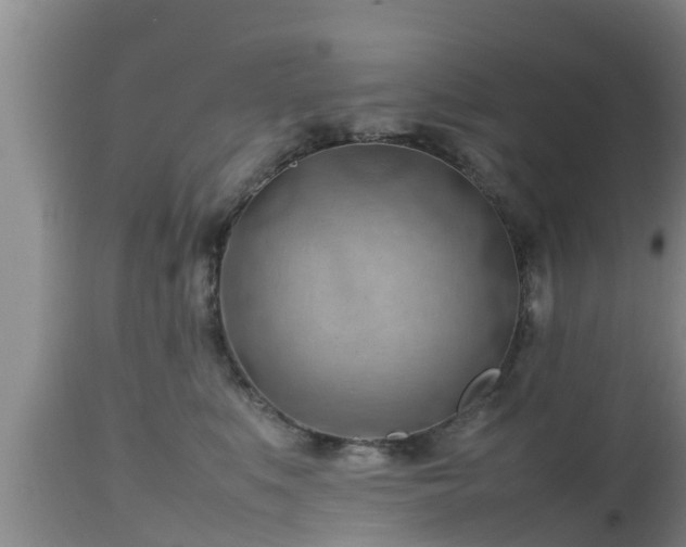 X0000112810519200908281510