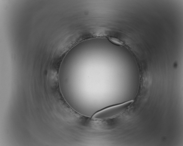 X0000112810521200908281510