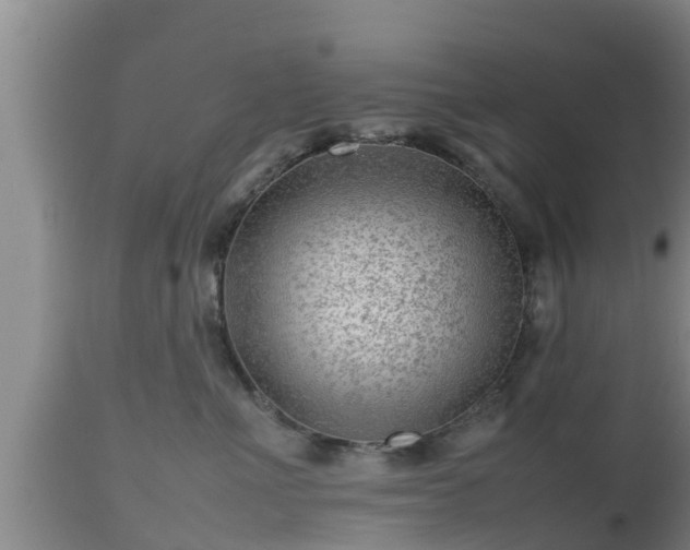 X0000112810523200908281510