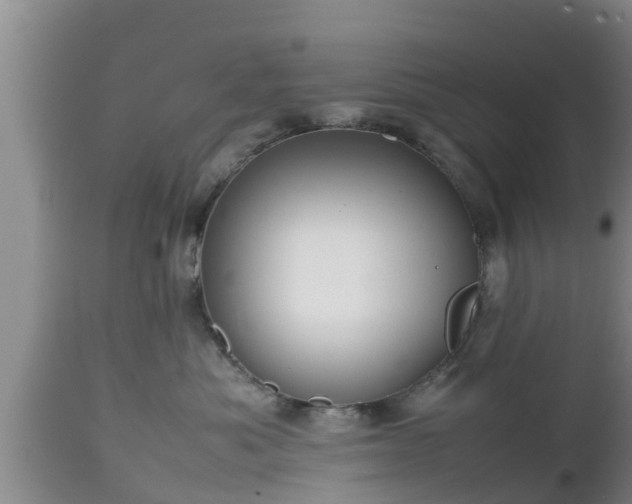 X0000112810525200908281510