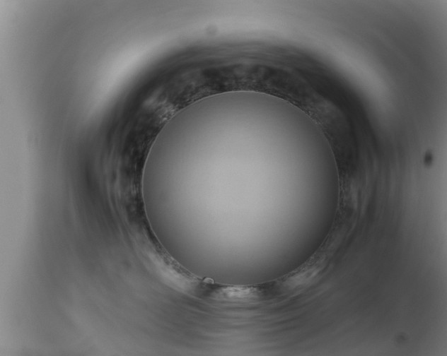 X0000112810526200908281510