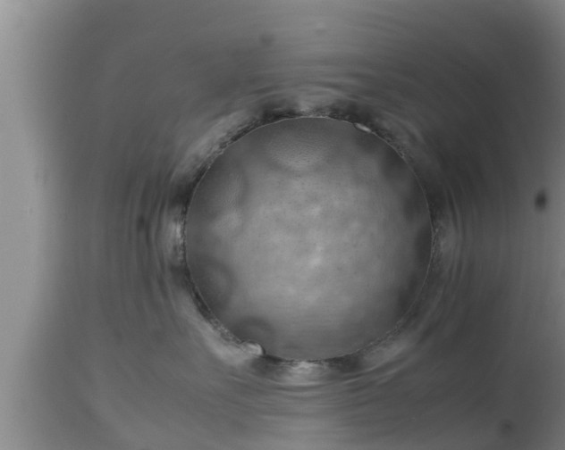 X0000112810527200908281510