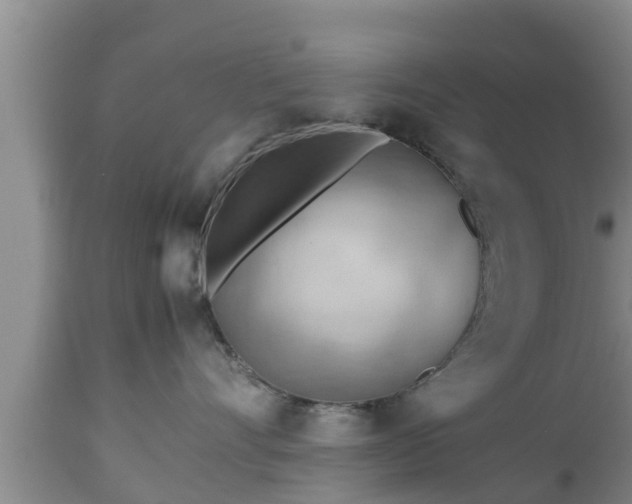 X0000112810528200908281509