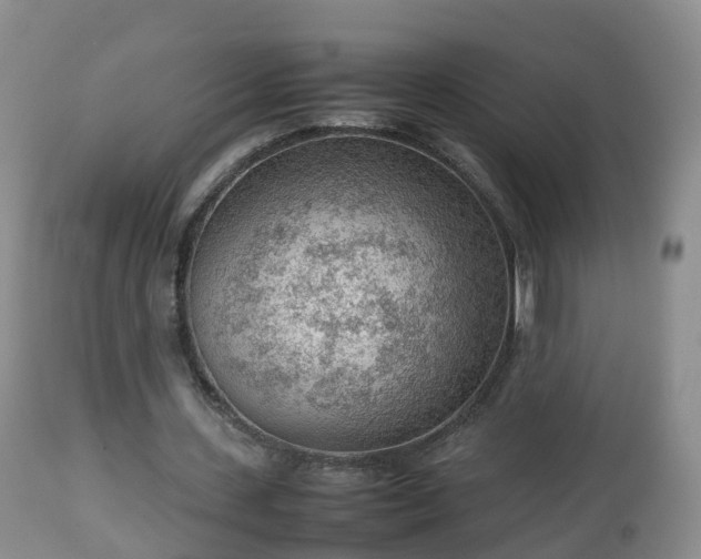 X0000112810531200908281509