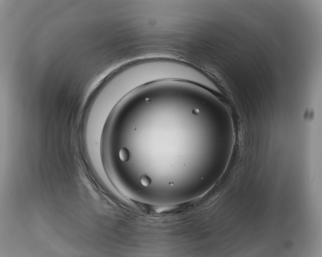 X0000112810532200908281509
