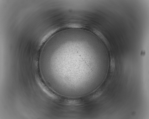 X0000112810533200908281509