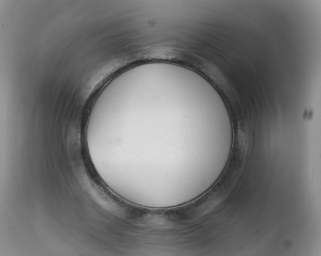 X0000112810534200908281509
