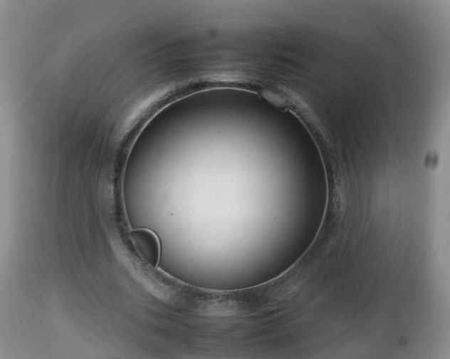 X0000112810535200908281509