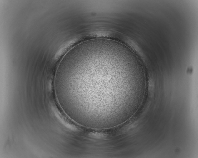 X0000112810537200908281509