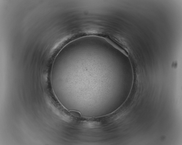 X0000112810539200908281509