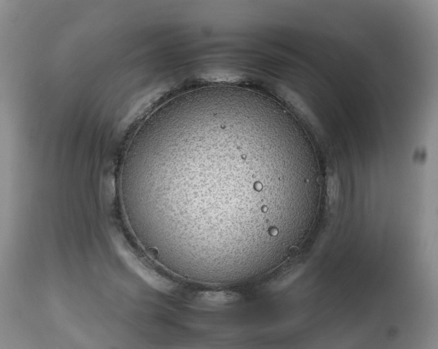X0000112810541200908281509