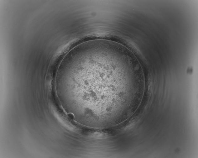 X0000112810542200908281509