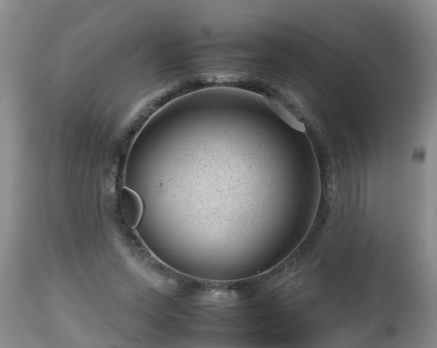 X0000112810543200908281509
