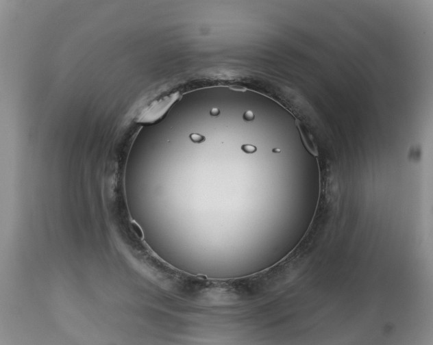 X0000112810544200908281509